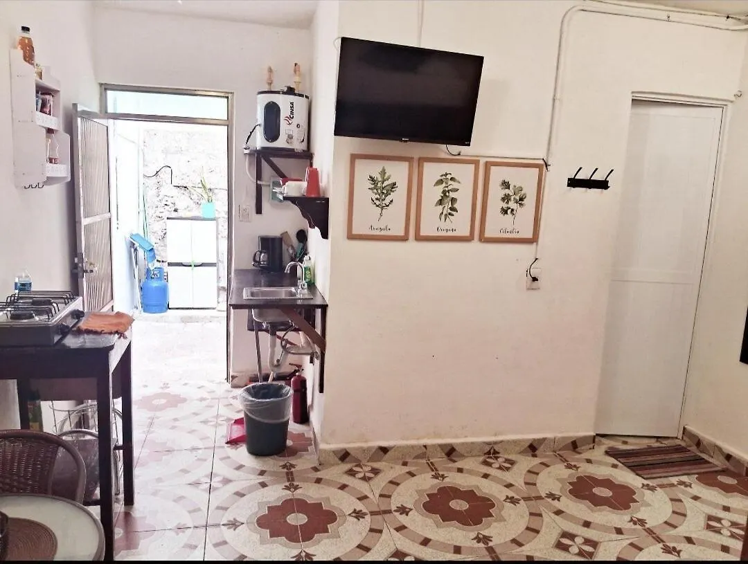 Apartment Cozy Studio Near Beach & Ferry Isla Mujeres